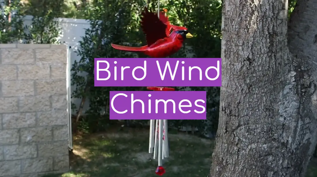 Bird Wind Chimes