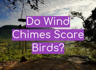 Do Wind Chimes Scare Birds?