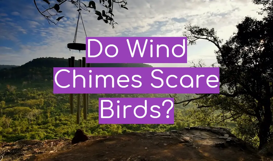 Do Wind Chimes Scare Birds?
