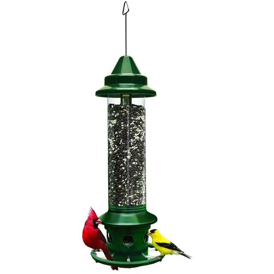 best squirrel proof bird feeder