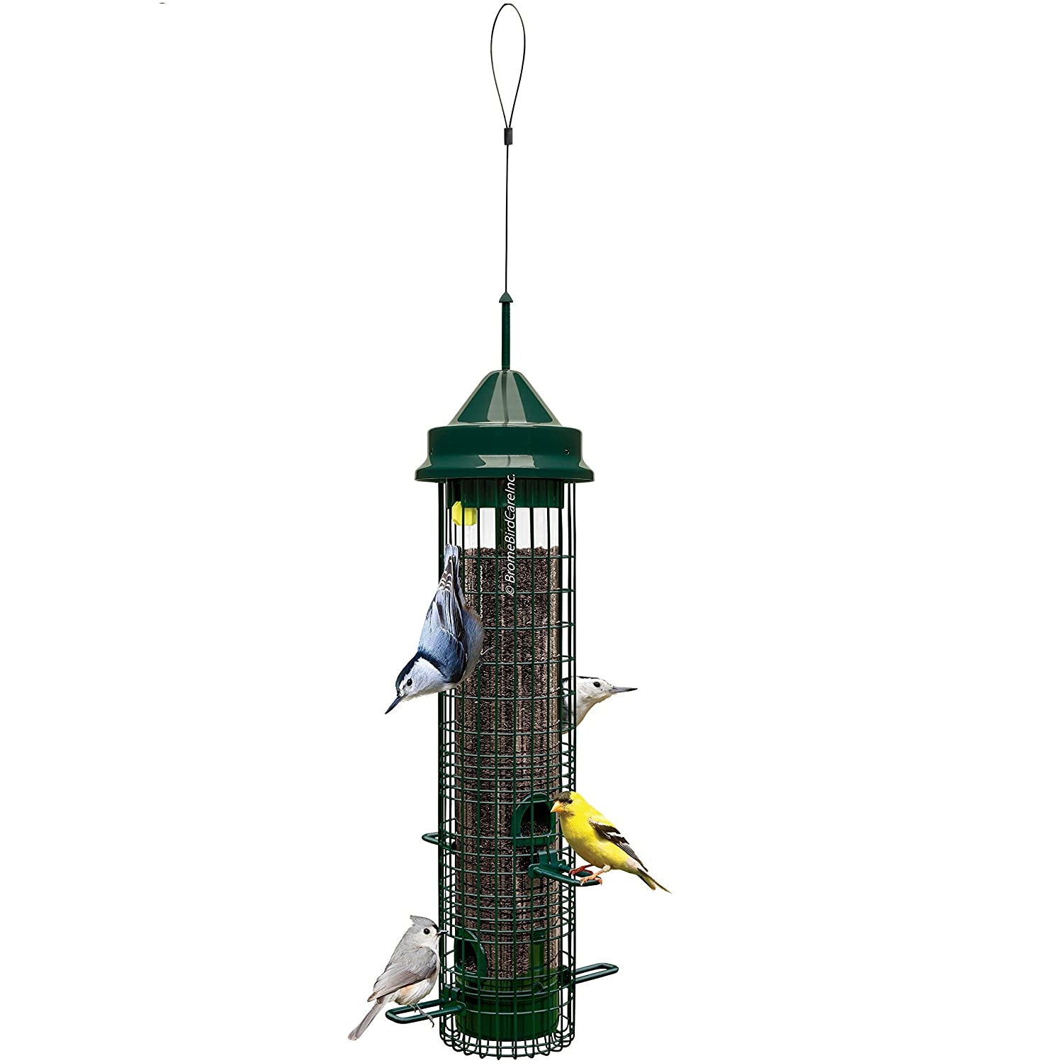 top squirrel proof bird feeders