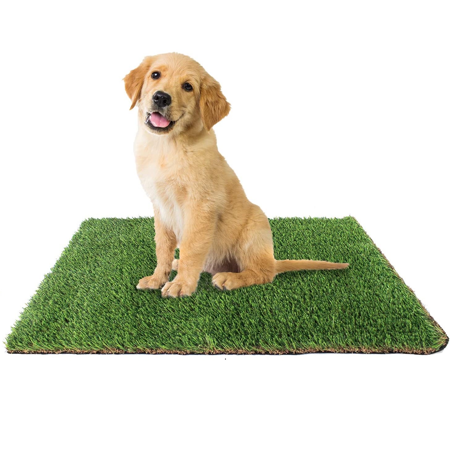 Top 5 Best Artificial Grass For Dogs July 2023 Review WindChimesGuide   71JrJmIu44L. AC SL1500  