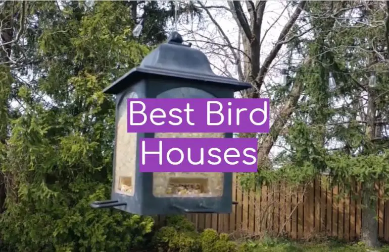5 Best Bird Houses