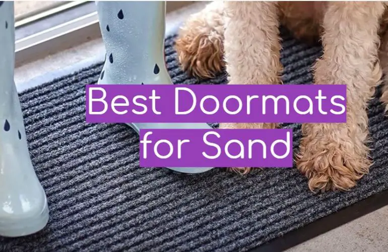 5 Best Doormats for Sand