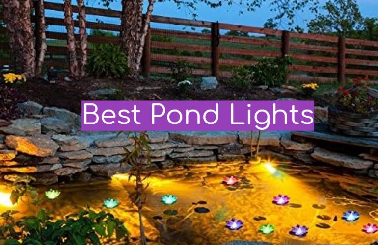 5 Best Pond Lights