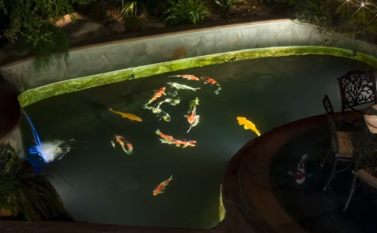 Top 5 Best Pond Lights [2022 Review] WindChimesGuide