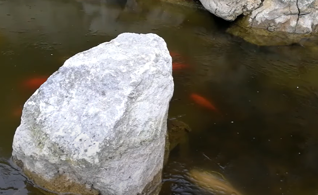 Top 5 Best Pond Lights [2022 Review] WindChimesGuide