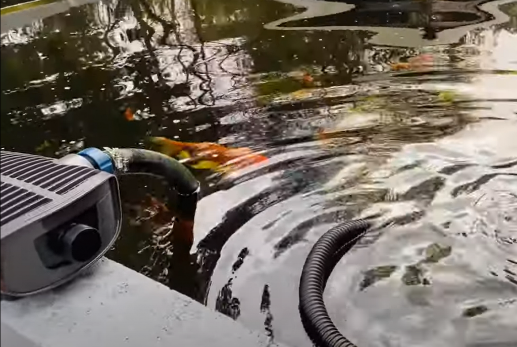 The Best Places To Install A Pond Skimmer
