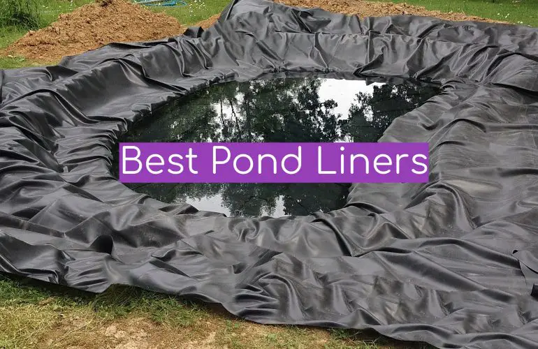 Top 5 Best Pond Liners [2021 Review] WindChimesGuide