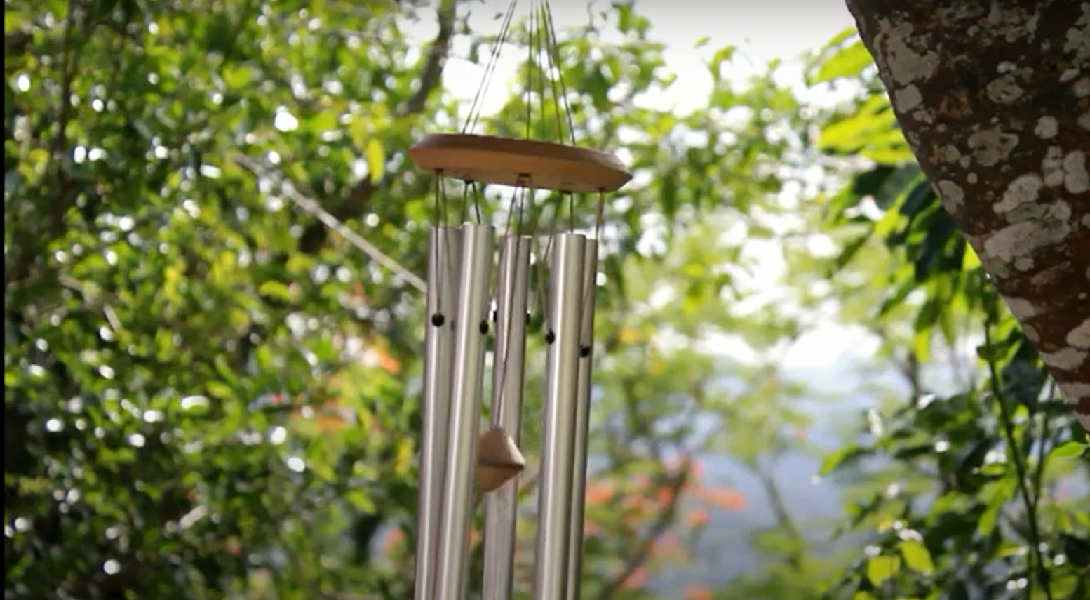 Method 2. Hanging Wind Chimes from a Tree Branch