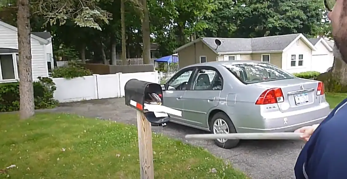 How to Keep Wasps Out of a Mailbox? WindChimesGuide