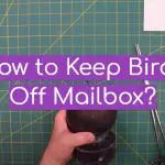How to Keep Birds Off Mailbox?