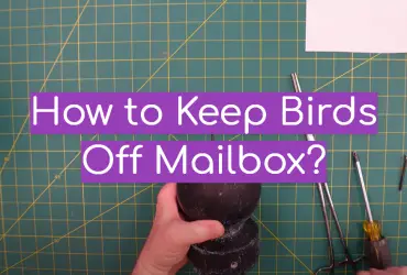 How to Keep Birds Off Mailbox?