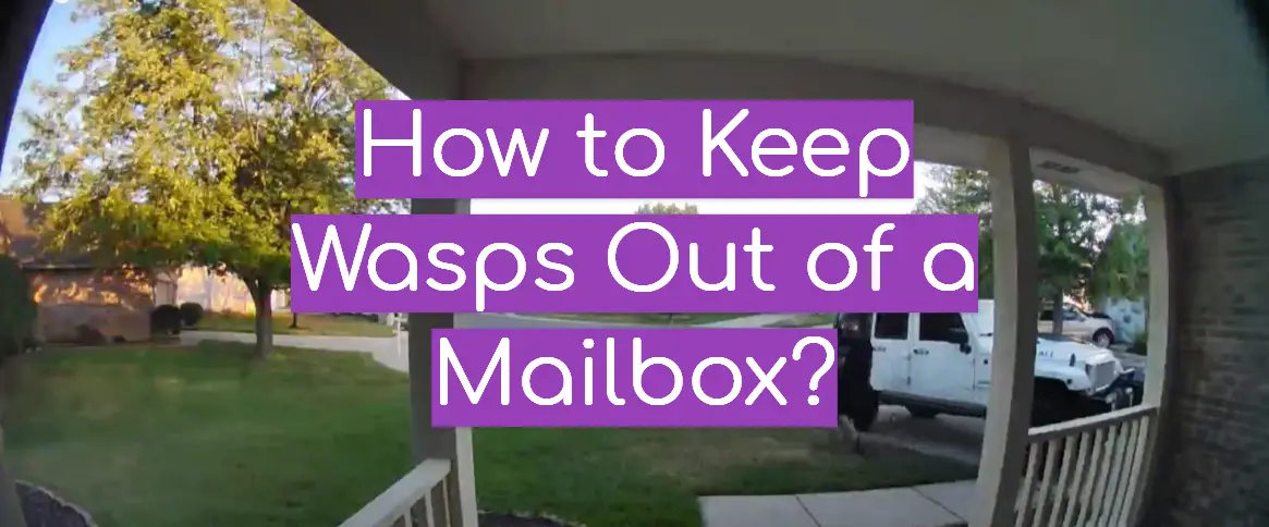 How to Keep Wasps Out of a Mailbox?