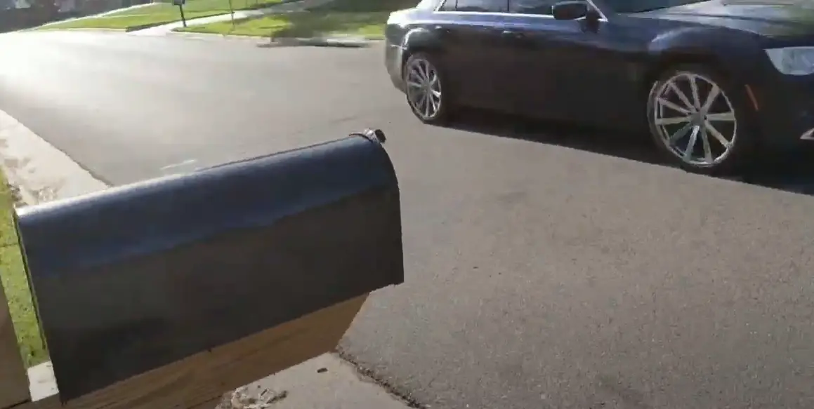 How to Get Rid of Ants in a Mailbox? WindChimesGuide