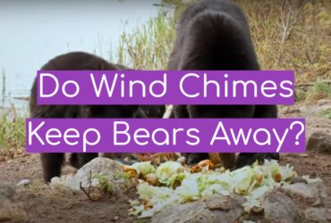 Do Wind Chimes Keep Bears Away?