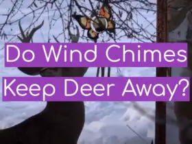 Do Wind Chimes Keep Deer Away?