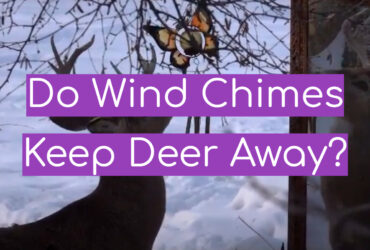 Do Wind Chimes Keep Deer Away?