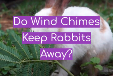 Do Wind Chimes Keep Rabbits Away?