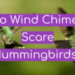 Do Wind Chimes Scare Hummingbirds?