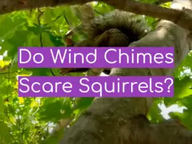 Do Wind Chimes Scare Squirrels?