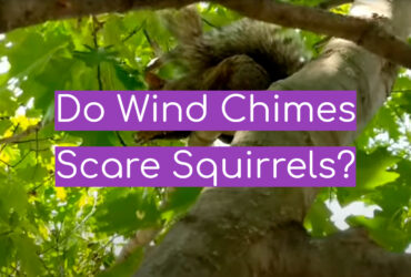 Do Wind Chimes Scare Squirrels?